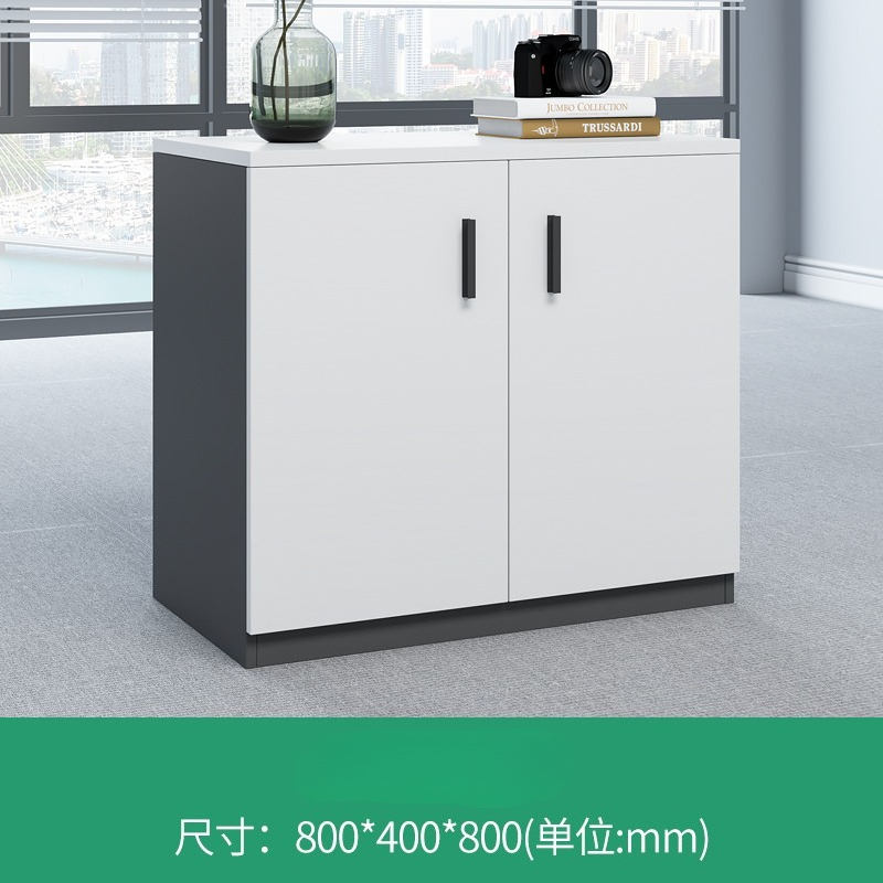 Szafka biurowa biała zamykana  – Credenza Office Storage recenzja i cena